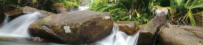 還(hái)元水(shuǐ)